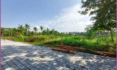 Tanah Murah di Pengasih, Lokasi Ideal untuk Rumah