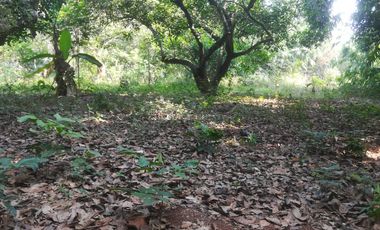 Tanah dijual di Karawang, Balongsari, Karawang, Jawa Barat