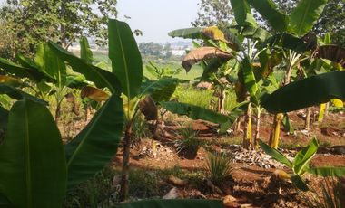 Tanah dijual di Karawang, Balongsari, Karawang, Jawa Barat