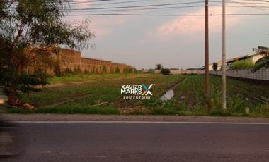 Tanah di Pinggir Jalan Propinsi Kedamean Gresik dekat Citraland