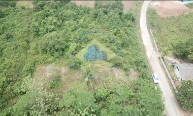 Dijual Tanah di Citeras, Rangkasbitung, Lebak - Banten.