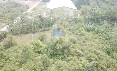 Dijual Tanah di Citeras, Rangkasbitung, Lebak - Banten.