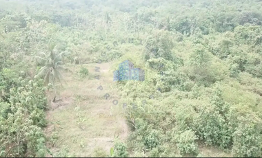 Dijual Tanah di Citeras, Rangkasbitung, Lebak - Banten.