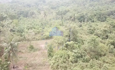 Dijual Tanah di Citeras, Rangkasbitung, Lebak - Banten.