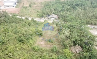 Dijual Tanah di Citeras, Rangkasbitung, Lebak - Banten.