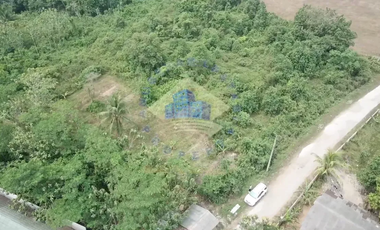 Dijual Tanah di Citeras, Rangkasbitung, Lebak - Banten.