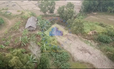 Dijual Tanah di Citeras, Rangkasbitung, Lebak - Banten.