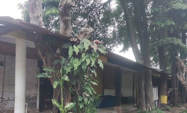 super. strategisssss