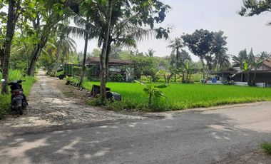 Tanah Murah View Hamparan Sawah di Kedungsari Pengasih