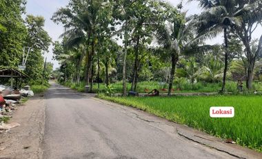 Tanah Murah View Hamparan Sawah di Kedungsari Pengasih