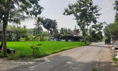 Tanah Murah View Hamparan Sawah di Kedungsari Pengasih