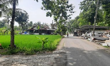 Tanah Murah View Hamparan Sawah di Kedungsari Pengasih