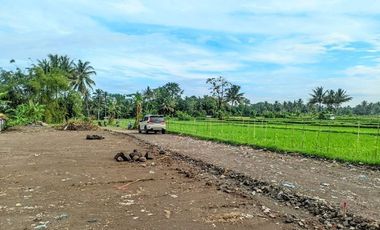 Tanah Apik Area Jalan Palagan View Hamparan Persawahan