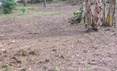 Tanah MURAH DEKAT PEREMPATAN BULUH KRANDEGAN