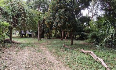 Terreno en venta Zaachila, Oaxaca