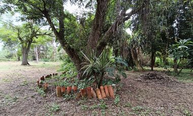 Terreno en venta Zaachila, Oaxaca
