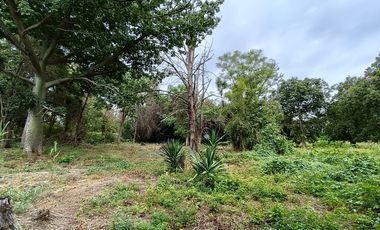 Terreno en venta Zaachila, Oaxaca