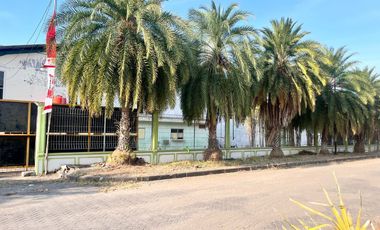 GUDANG LANGKA Area Raya Palem Watu Menganti Gresik Ada Kantor Luas