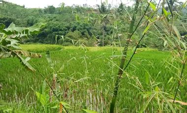 Tanah di CIBURUY (LANGKOP)