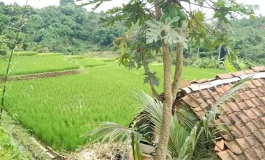 Tanah di CIBURUY (LANGKOP)