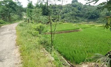 Tanah di CIBURUY (LANGKOP)