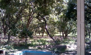 RANCHO EN VENTA EN RAYONES NUEVO LEON