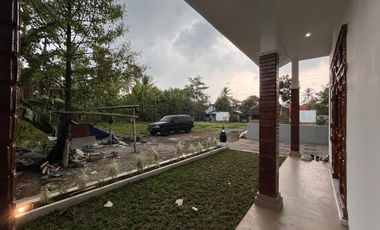 RUMAH MURAH CANTIK TANAH LUAS DI PEDESAAN BOROBUDUR