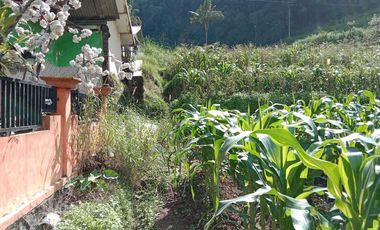 Jual Tanah Murah Dekat Paralayang Bumiaji Batu Malang