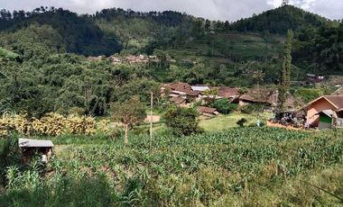 Jual Tanah Murah Dekat Paralayang Bumiaji Batu Malang