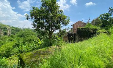 Dijual Rumah dan Tanah luas 1800 meter di GARUT