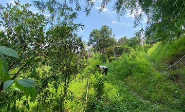 Dijual Rumah dan Tanah luas 1800 meter di GARUT