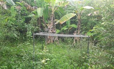 RUMAH DAN TEMPAT USAHA JALAN RAYA DIPUSAT BISNIS SAMPANG CILACAP