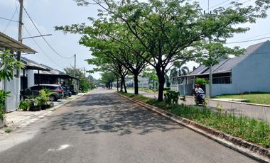 the River colorado Rumah baru selangkah satasiun  parung panjang