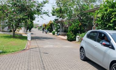 the River colorado Rumah baru selangkah satasiun  parung panjang
