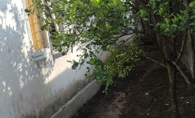 Jual tanah bonus bangunan layak huni dekat jalan damai