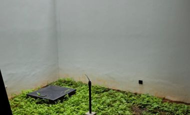 Di Jual murah Rumah Alam Sutera Winona 7x18 3 Lantai