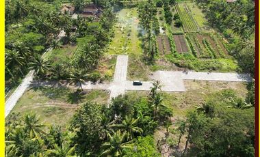 Tanah 90 jutaan dekat bandara YIA cocok INVESTASI