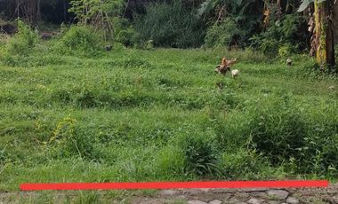 Tanah murah, dalam Perumahan mangku Jl Kabupaten dalam Ring roads dkt RSA UGM, UTY, JCM MALL, INDOGROSIR, UGM, RS SARDJITO