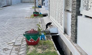 FULL FURNISH SIAP HUNI Rumah Grand Surya Cluster Jupiter By Jayaland