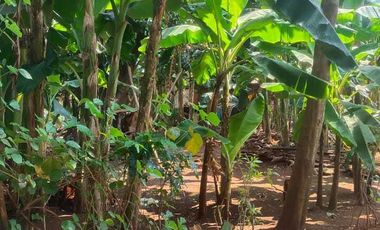 Tanah dijual Murah Siap Bangun 3 menit Tol Jatiasih, Bekasi , SHM