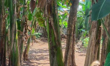 Tanah dijual Murah Siap Bangun 3 menit Tol Jatiasih, Bekasi , SHM