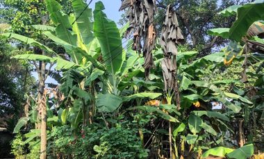 Tanah dijual Murah Siap Bangun 3 menit Tol Jatiasih, Bekasi , SHM