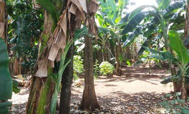 Tanah dijual Murah Siap Bangun 3 menit Tol Jatiasih, Bekasi , SHM