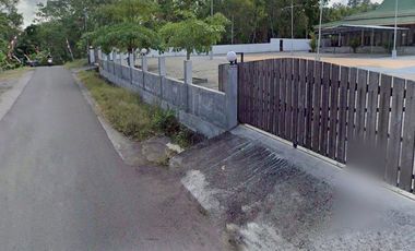 Pendopo Joglo Full Kayu Jati Super dengan Tanah Luas 3500 meter