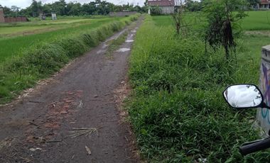 DIJUAL TANAH SAWAH DI BANTUL AKSES JALAN ASPAL SEWON JK13083
