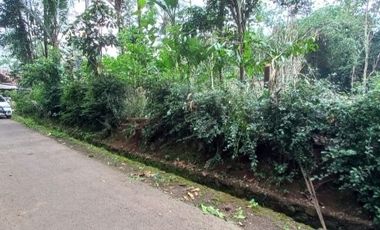 DiJual Tanah Pekarangan Murah di Barat Pasar Balangan Minggir