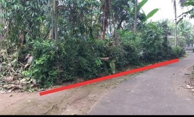 DiJual Tanah Pekarangan Murah di Barat Pasar Balangan Minggir