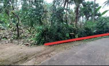 DiJual Tanah Pekarangan Murah di Barat Pasar Balangan Minggir