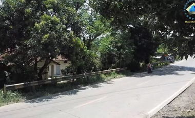 Dijual Tanah Di Citeras, Di Jalan Raya Rangkas Bitung - Lebak, Banten