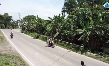 Dijual Tanah Di Citeras, Di Jalan Raya Rangkas Bitung - Lebak, Banten